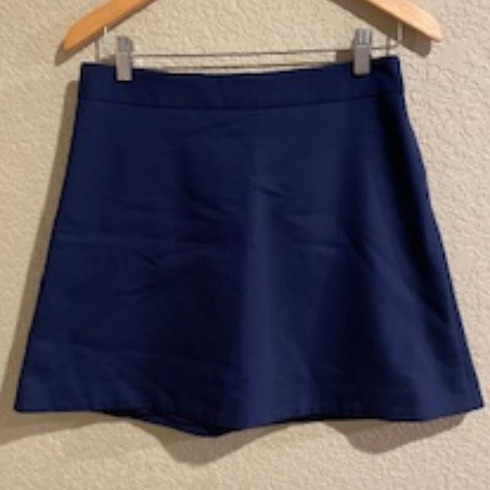 Navy Blue Express mini skirt
